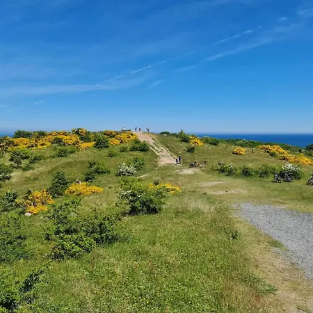 Daire Post Hiddensee, Vitte, Cleaning Included *